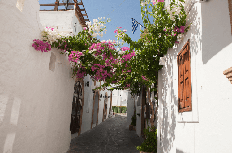 White and Pink bougainvillea stretch across the narrow cobbled streets of lovely Londos village, Rhodes, Greece